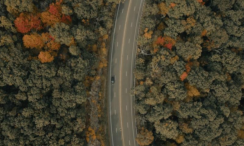 Disclosure Day location