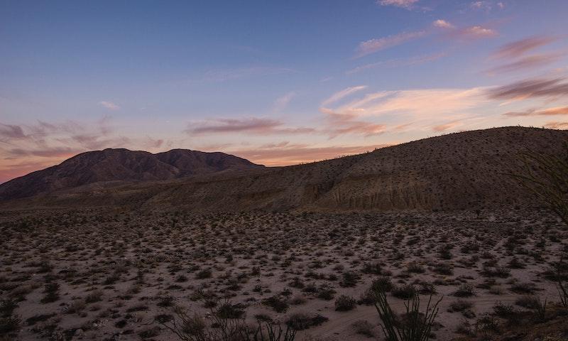 Into the Wild location