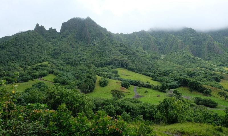 Jumanji: Welcome to the Jungle location