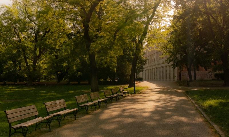 Nosferatu (2024) location