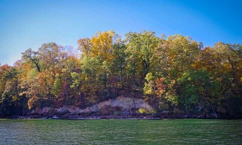 Ozark location