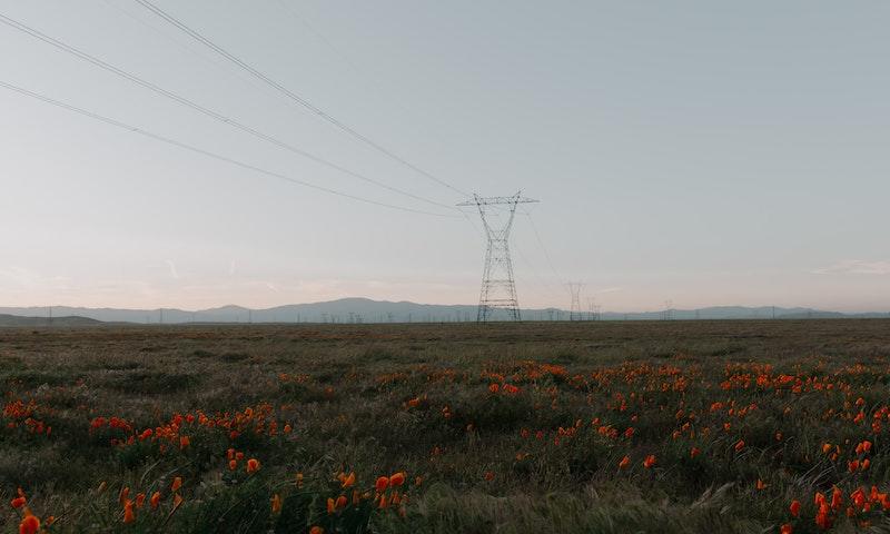 Palm Springs location