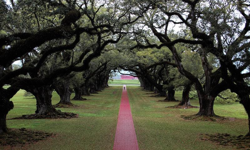 Steel Magnolias location