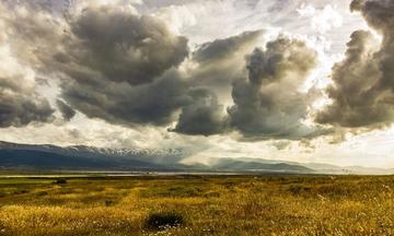 For a Few Dollars More