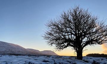 Harry Potter and the Deathly Hallows: Part 1 (2010)