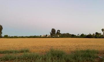 How to Make an American Quilt