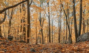 I'm Thinking of Ending Things