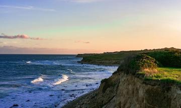 If I Had Legs I'd Kick You