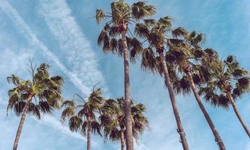 Insidious: Chapter 2