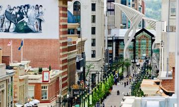 My Life with the Walter Boys