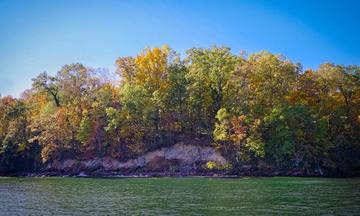 Ozark