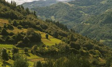 The Hunger Games: Sunrise on the Reaping