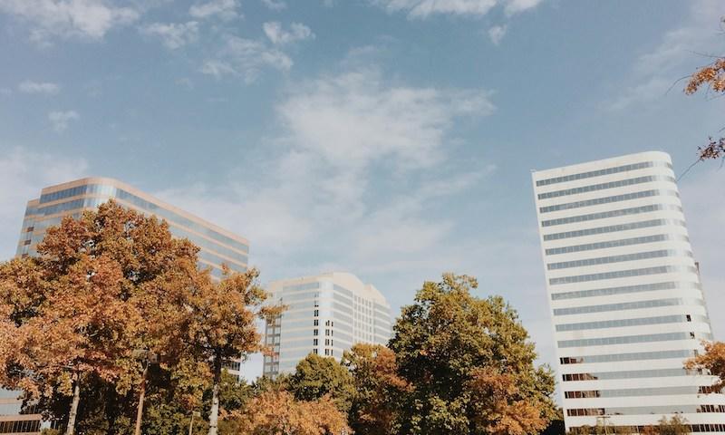 Tell Me Lies location