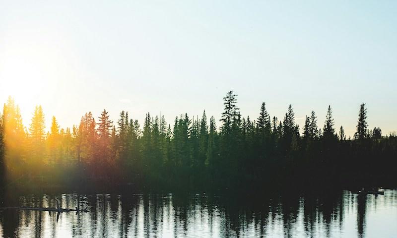 The Abandons location