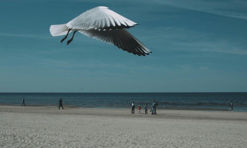 The Chronology of Water location