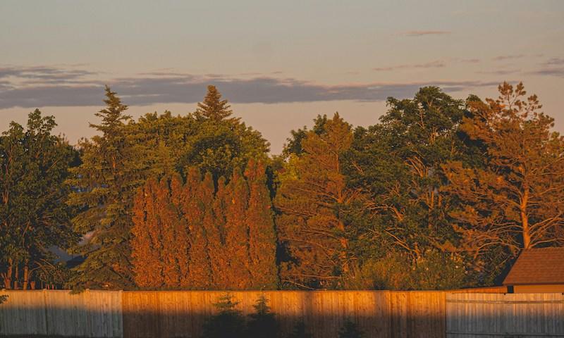 The Long Walk location